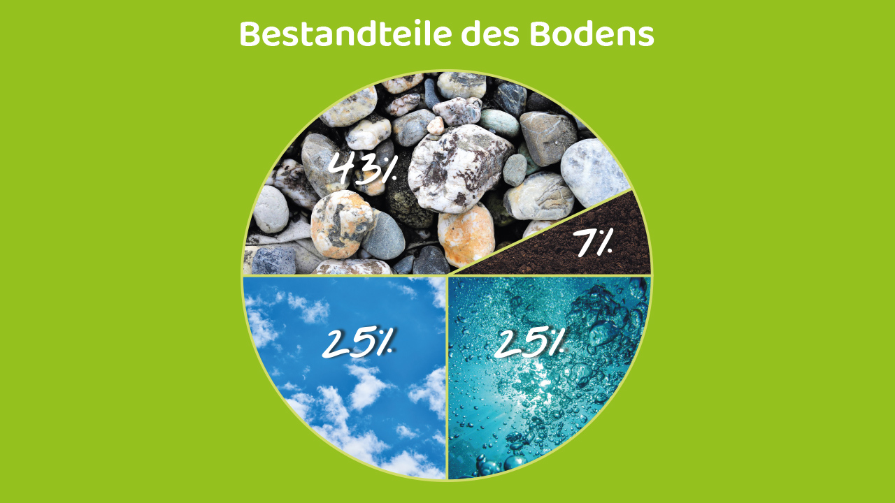 Bestandteile des Bodens