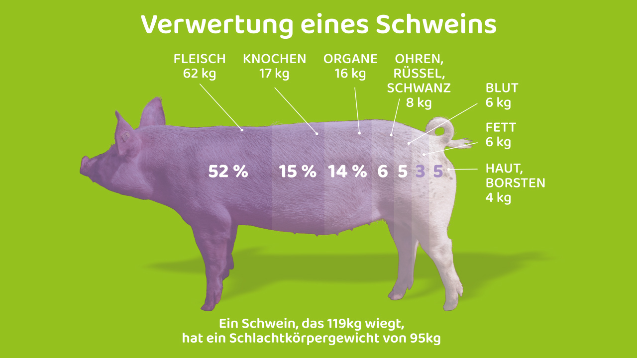 Verwertung eines Schweins