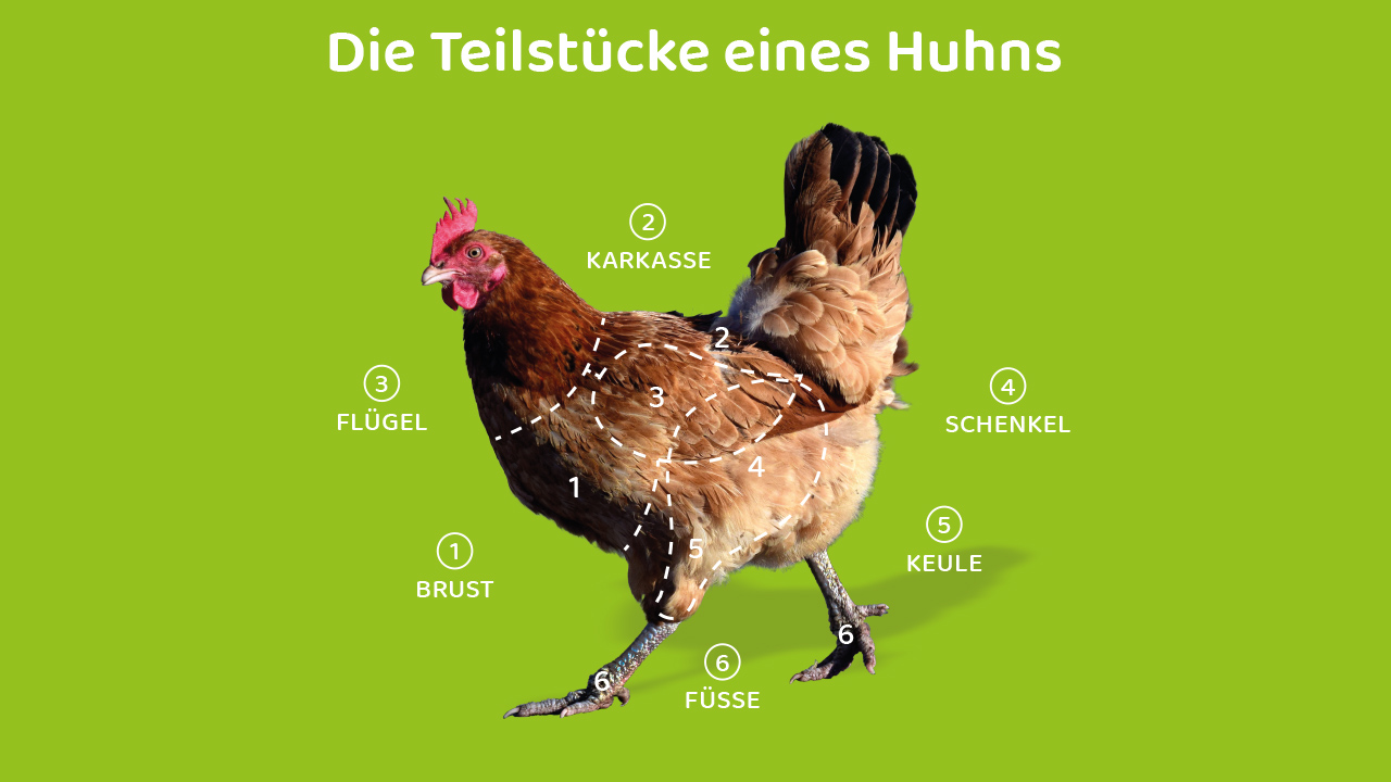 Teilstücke eines Huhns