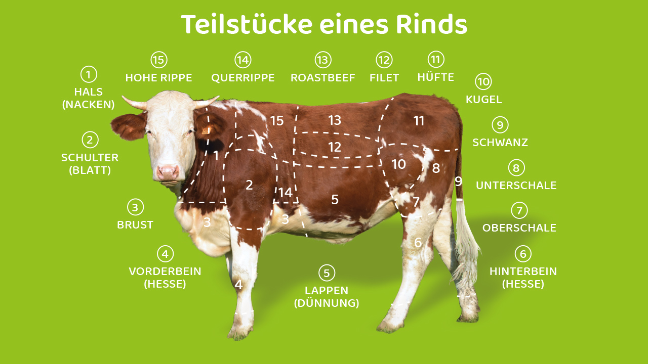 Teilstücke eines Rinds