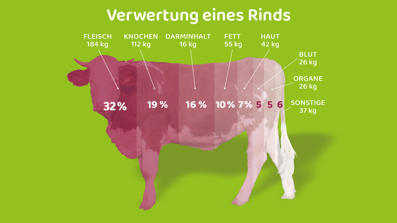 Verwertung eines Rinds